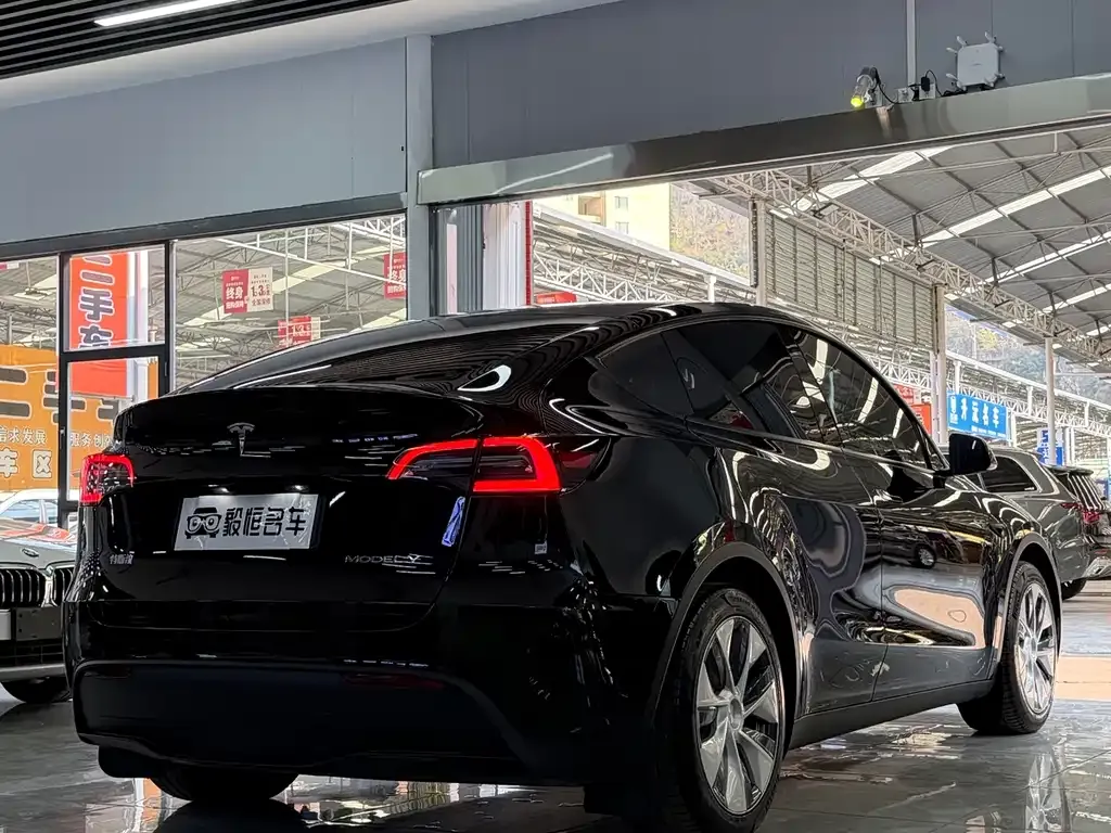 Tesla Model Y — фото 9