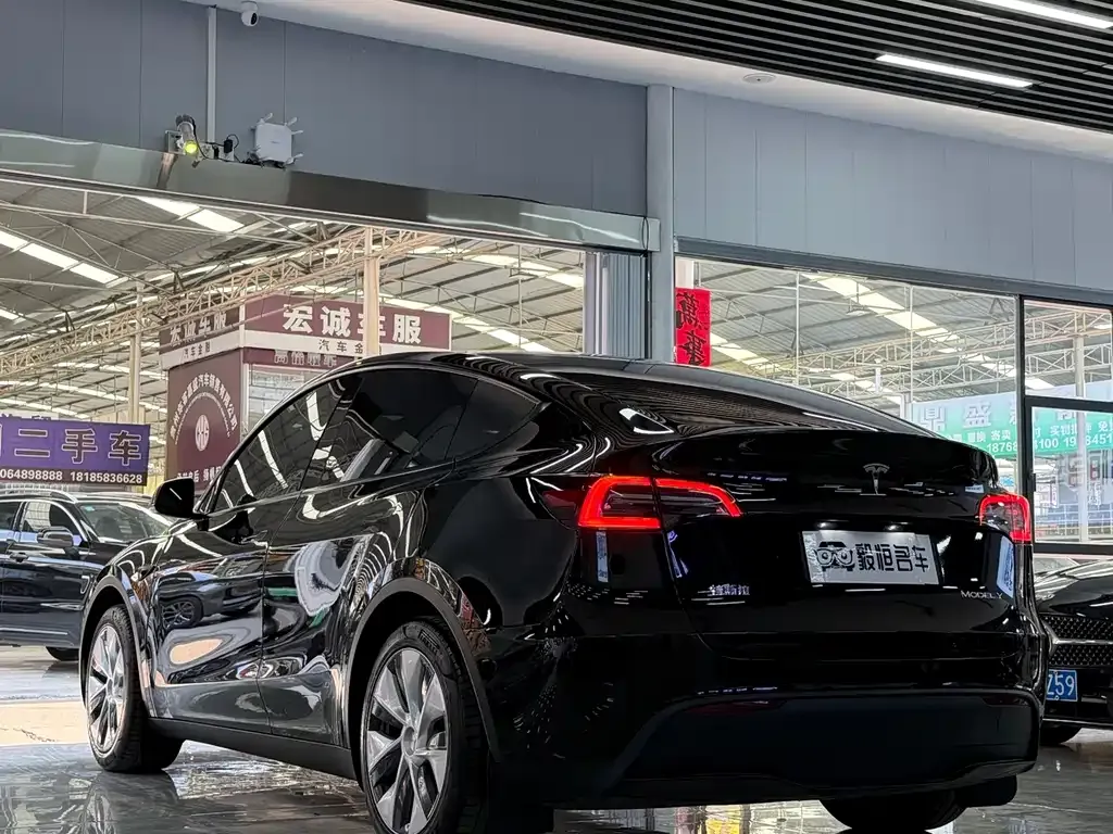 Tesla Model Y — фото 3