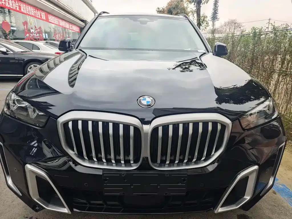BMW X5 2023 из CN, фото 9
