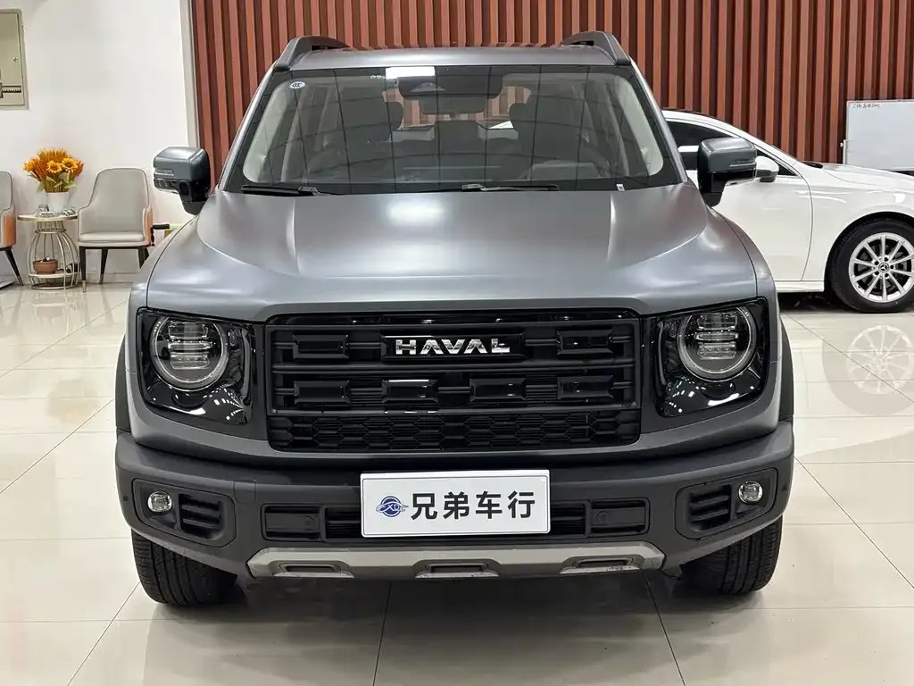 Haval Big Dog — фото 8