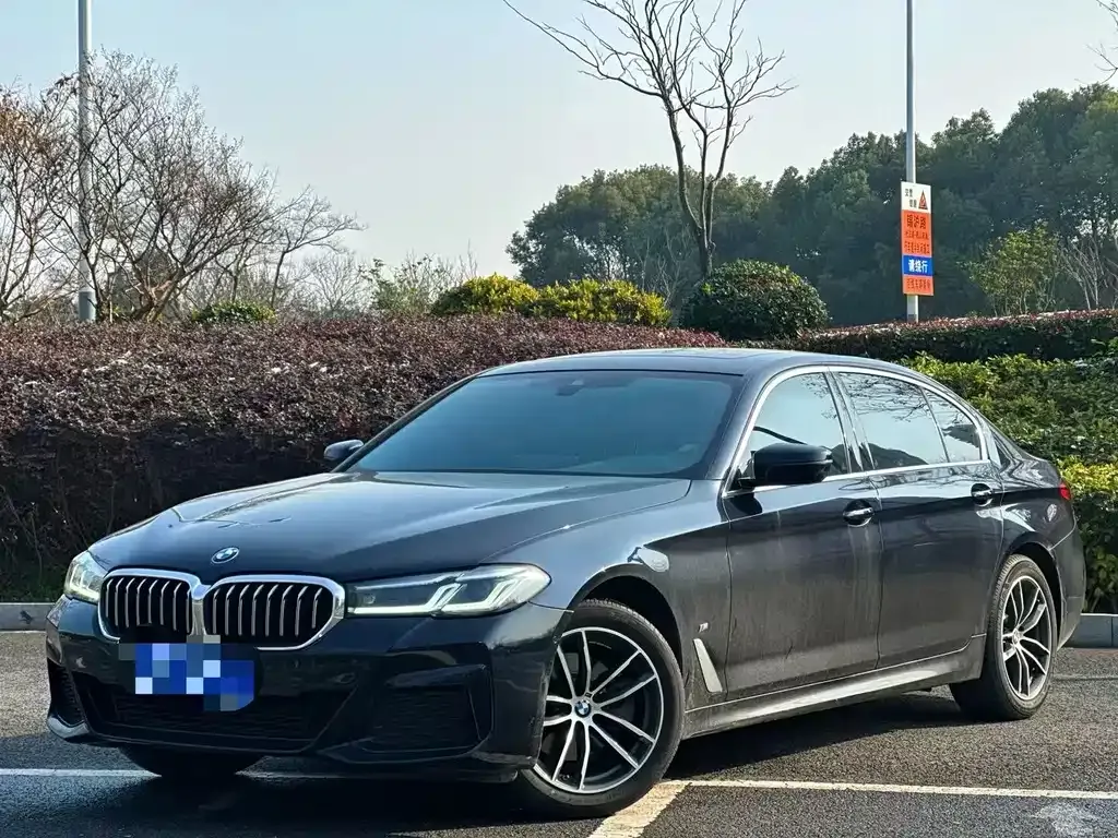 BMW 5 Series 2024 из CN, фото 1