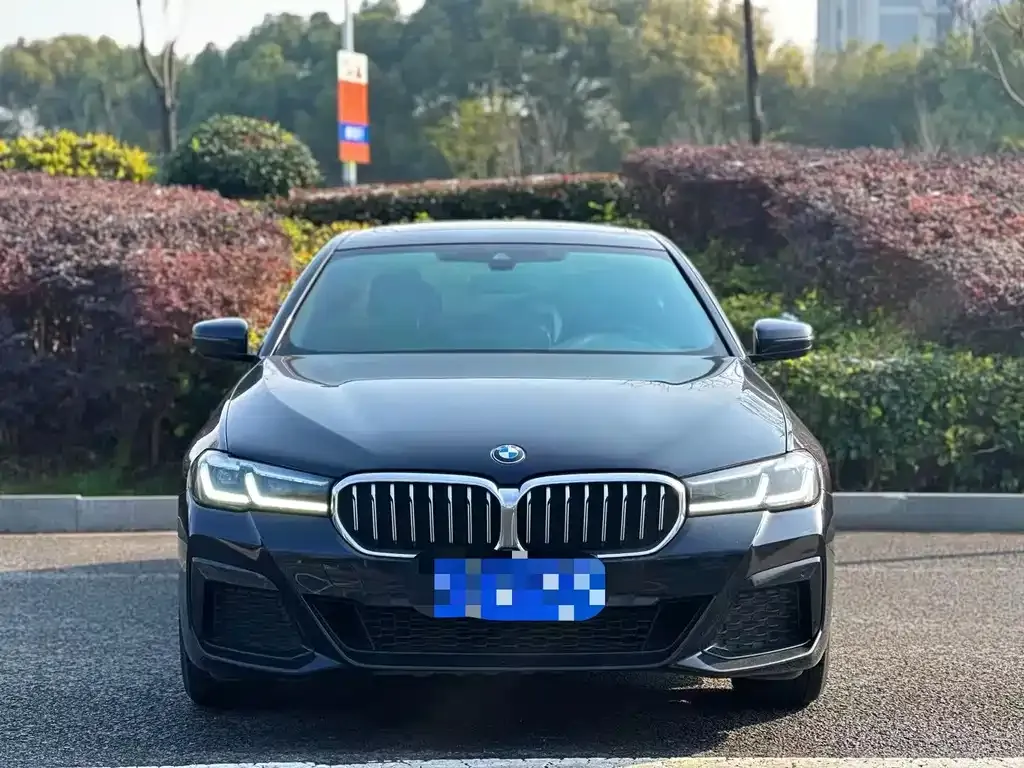 BMW 5 Series 2024 из CN, фото 4