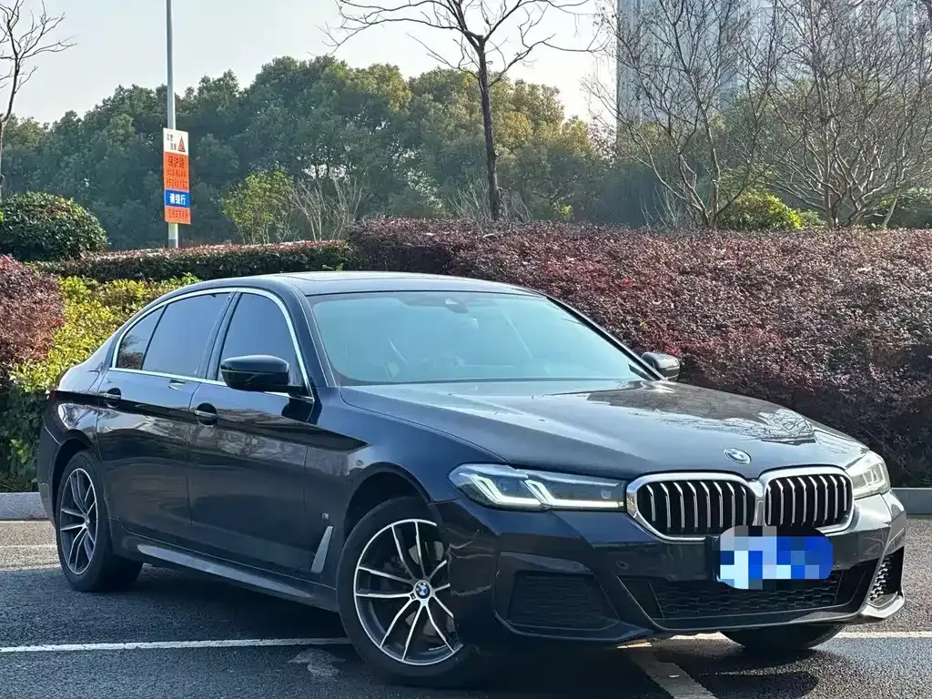 BMW 5 Series 2024 из CN, фото 8