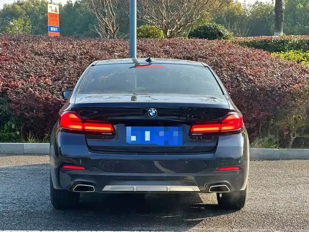 BMW 5 Series 2024 из CN, фото 9