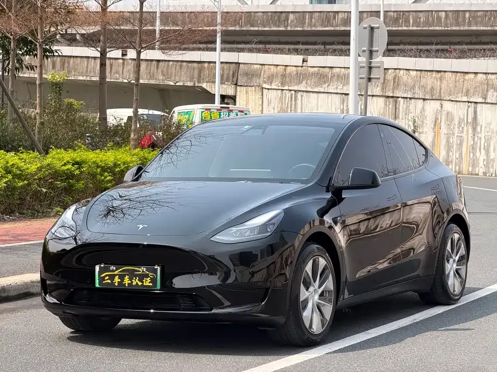 Tesla Model Y — фото 1