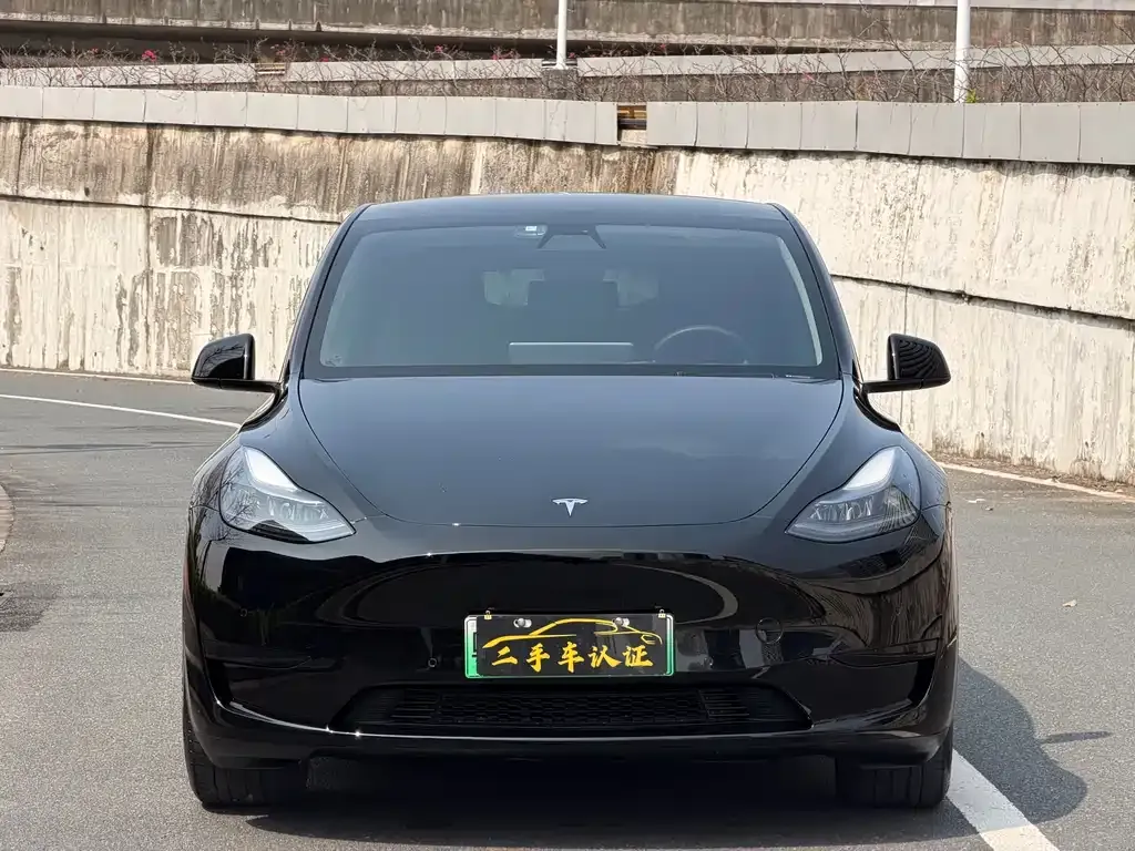 Tesla Model Y — фото 9