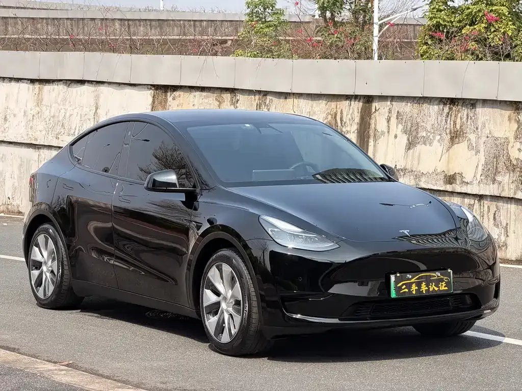 Tesla Model Y — фото 10