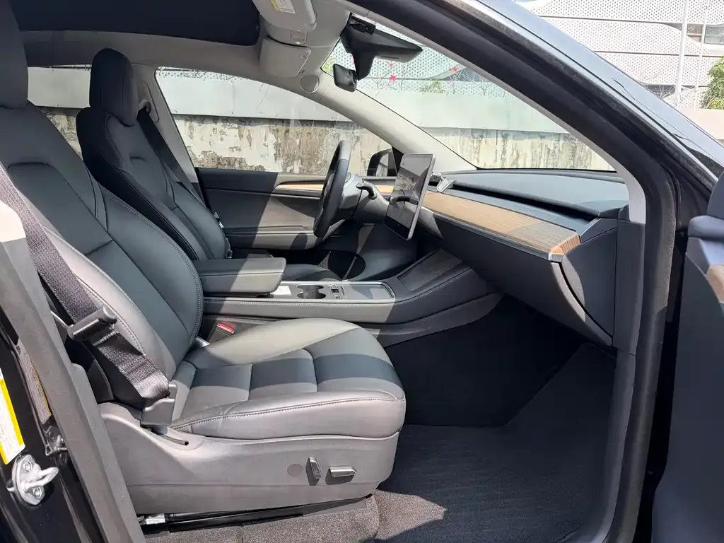 Tesla Model Y — фото 6