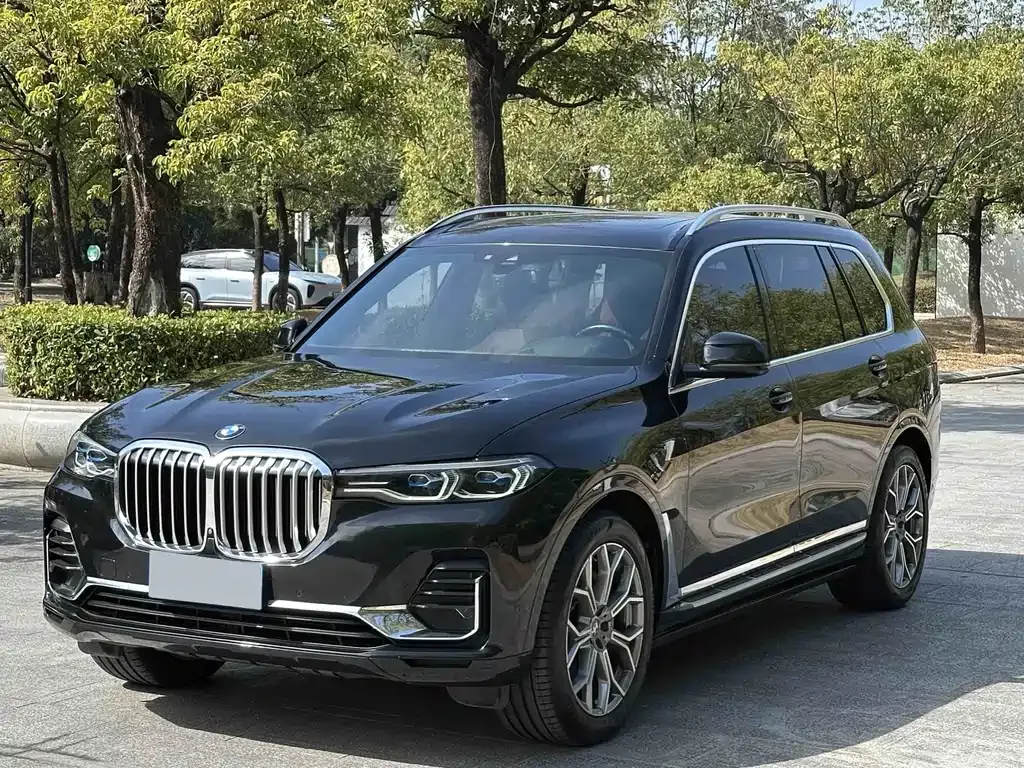 BMW X7 2021 из CN, фото 6
