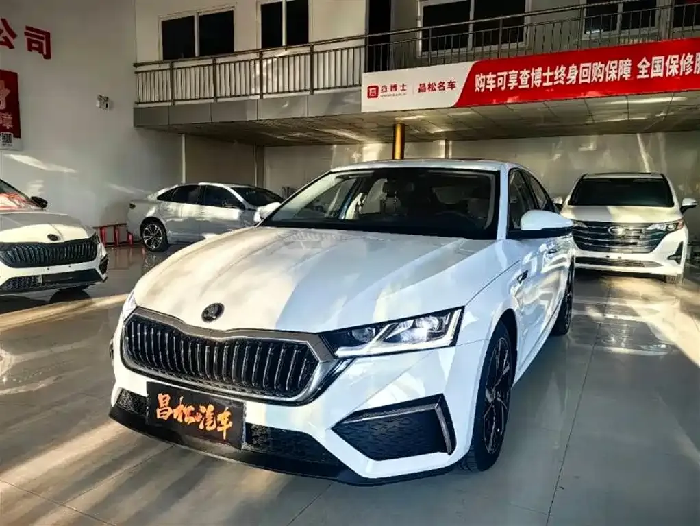 Skoda Octavia — фото 1