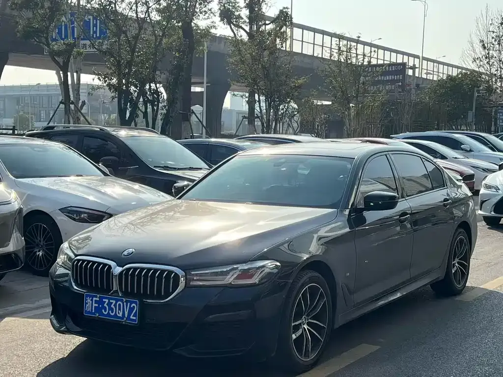 BMW 5 Series 2022 из CN, фото 1