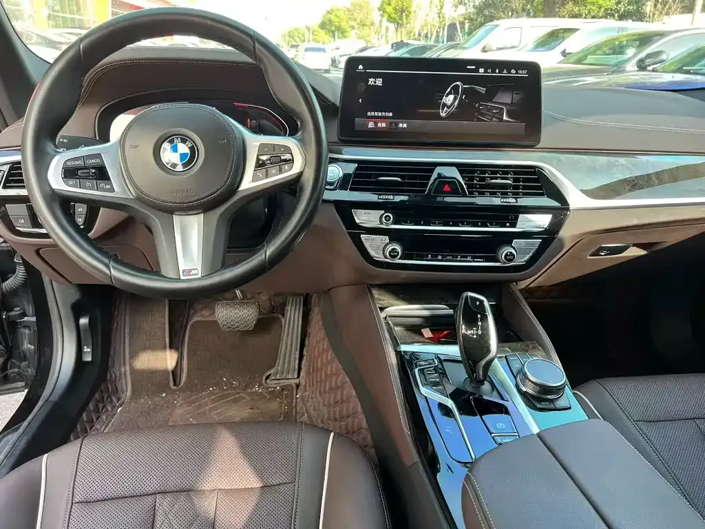 BMW 5 Series 2022 из CN, фото 5