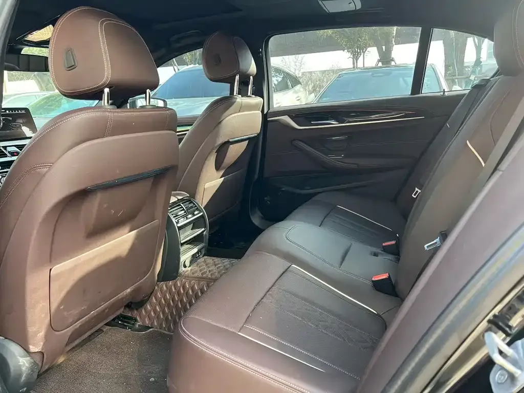 BMW 5 Series 2022 из CN, фото 4