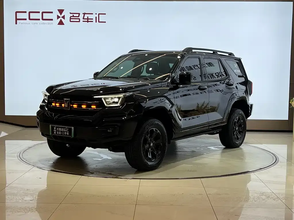 Tank 400 New Energy 2025 из CN, фото 1