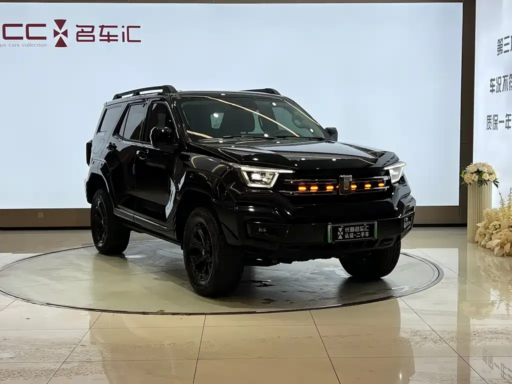 Tank 400 New Energy 2025 из CN, фото 9