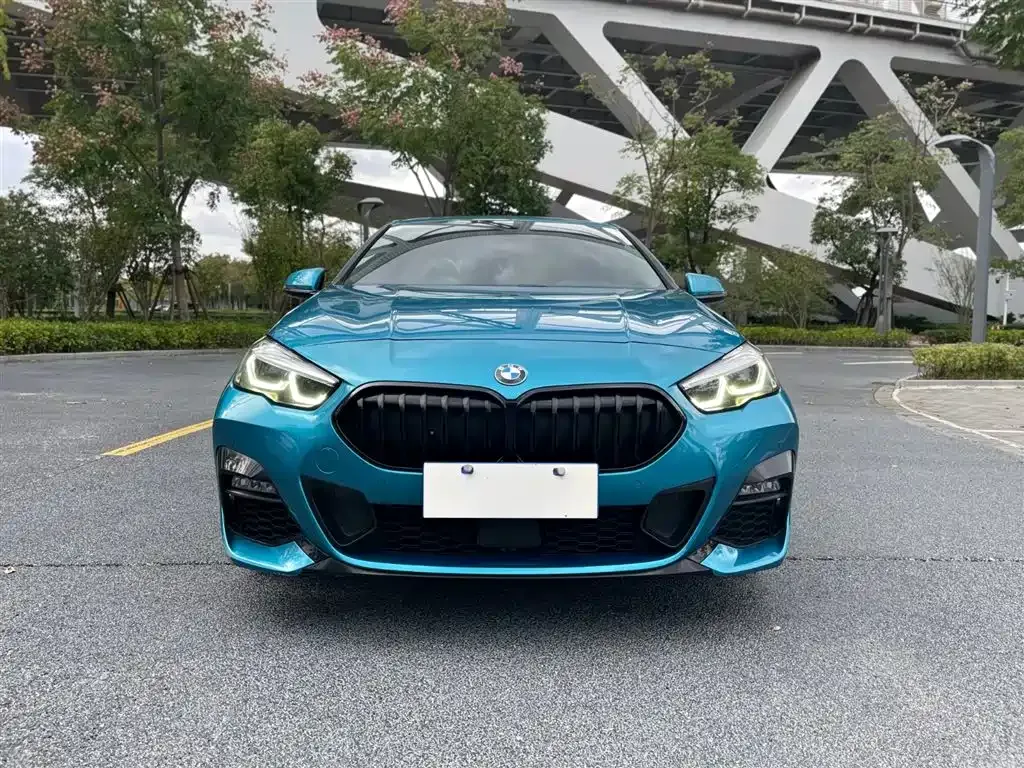 BMW 2 Series (Import) — фото 6