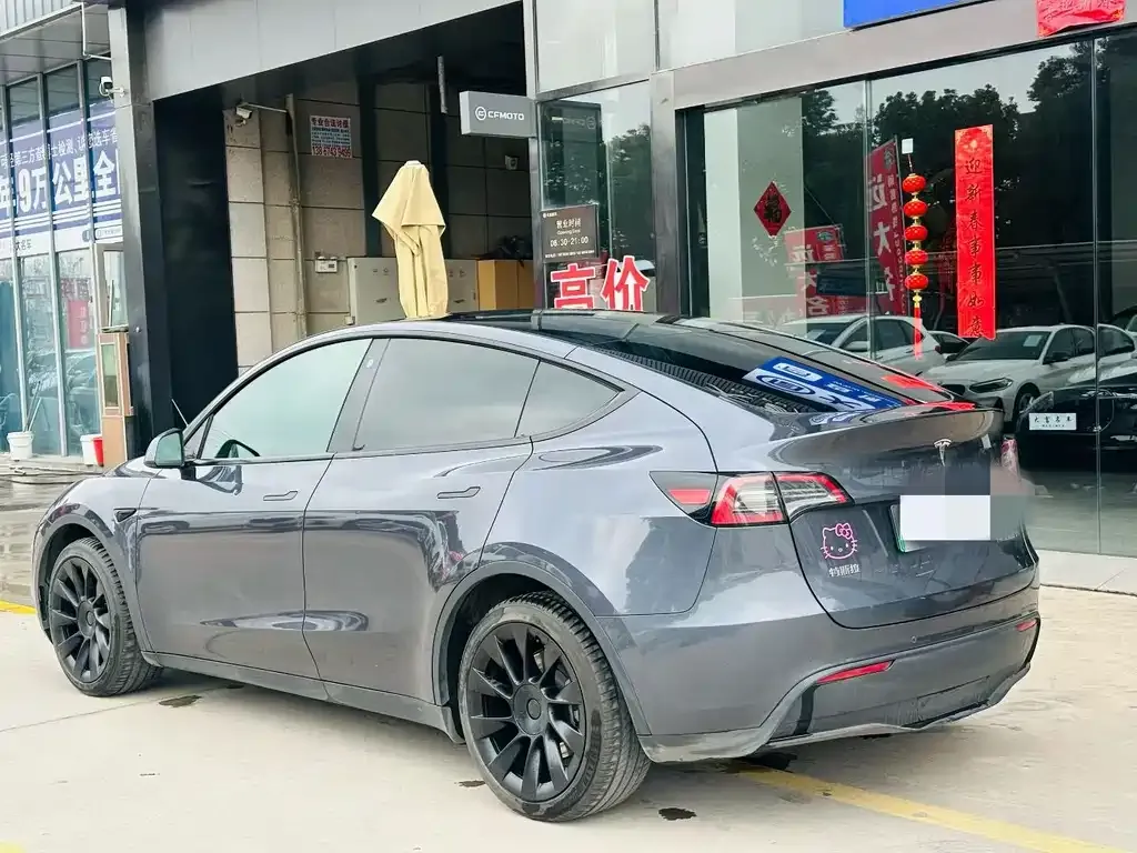 Tesla Model Y — фото 6