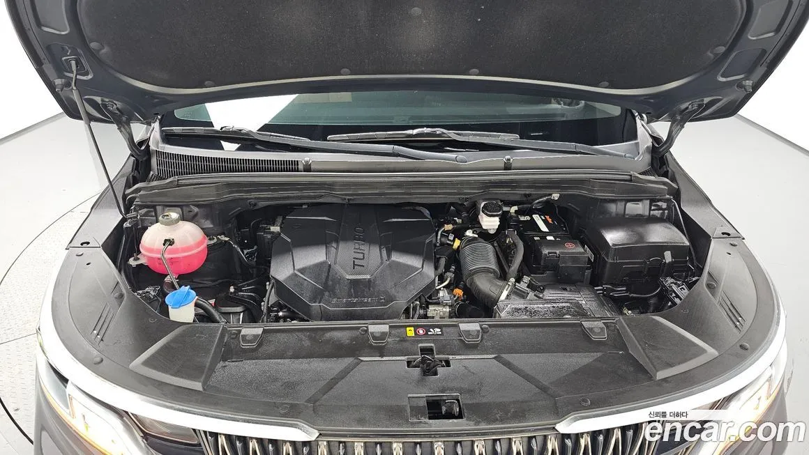 Kia Carnival — фото 10