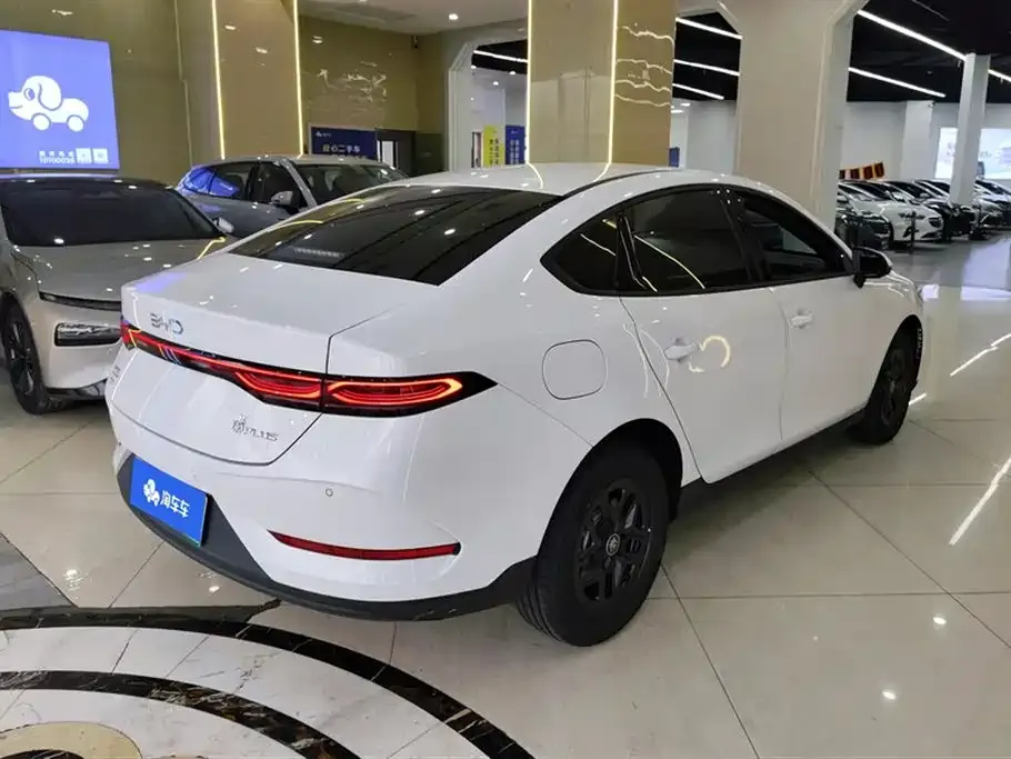 BYD Qin PLUS — фото 6