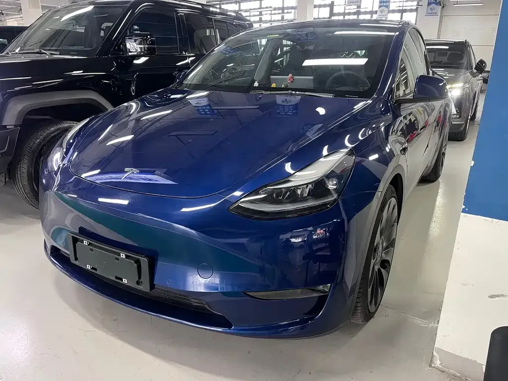 Tesla Model Y 2021 из CN, фото 1