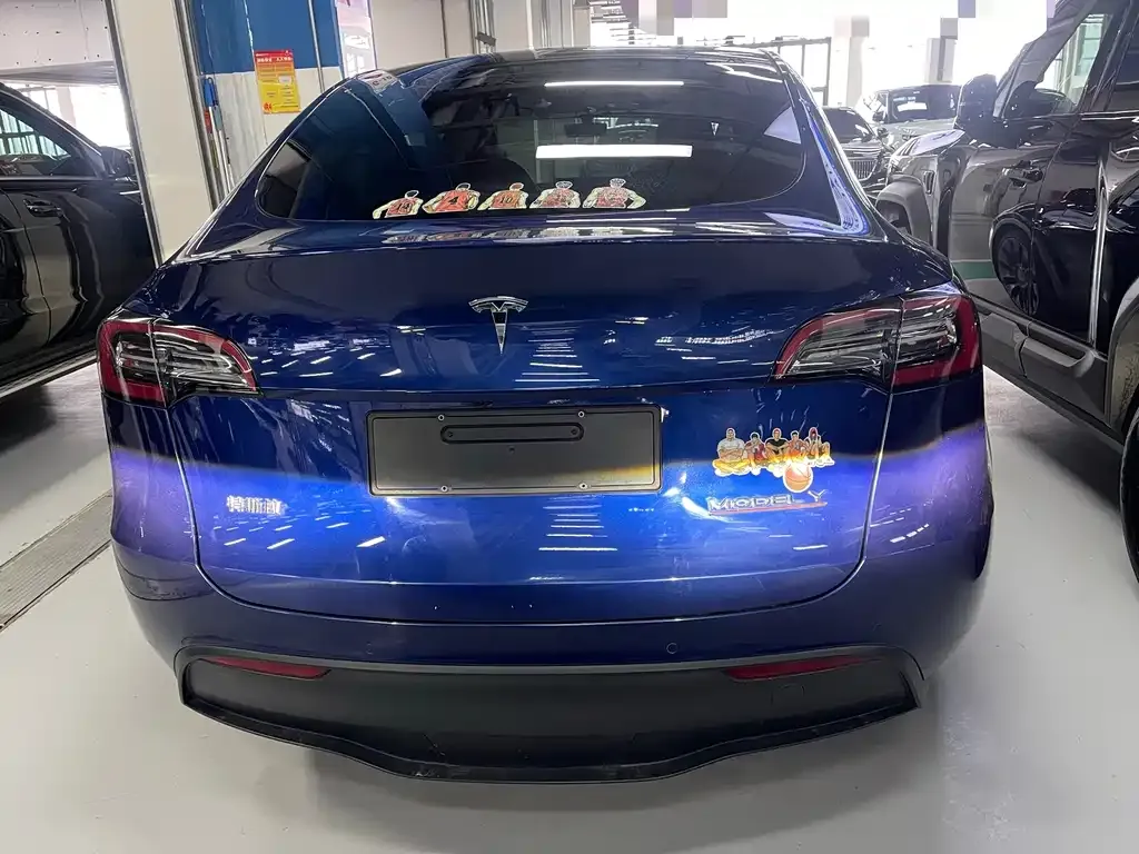 Tesla Model Y 2021 из CN, фото 9