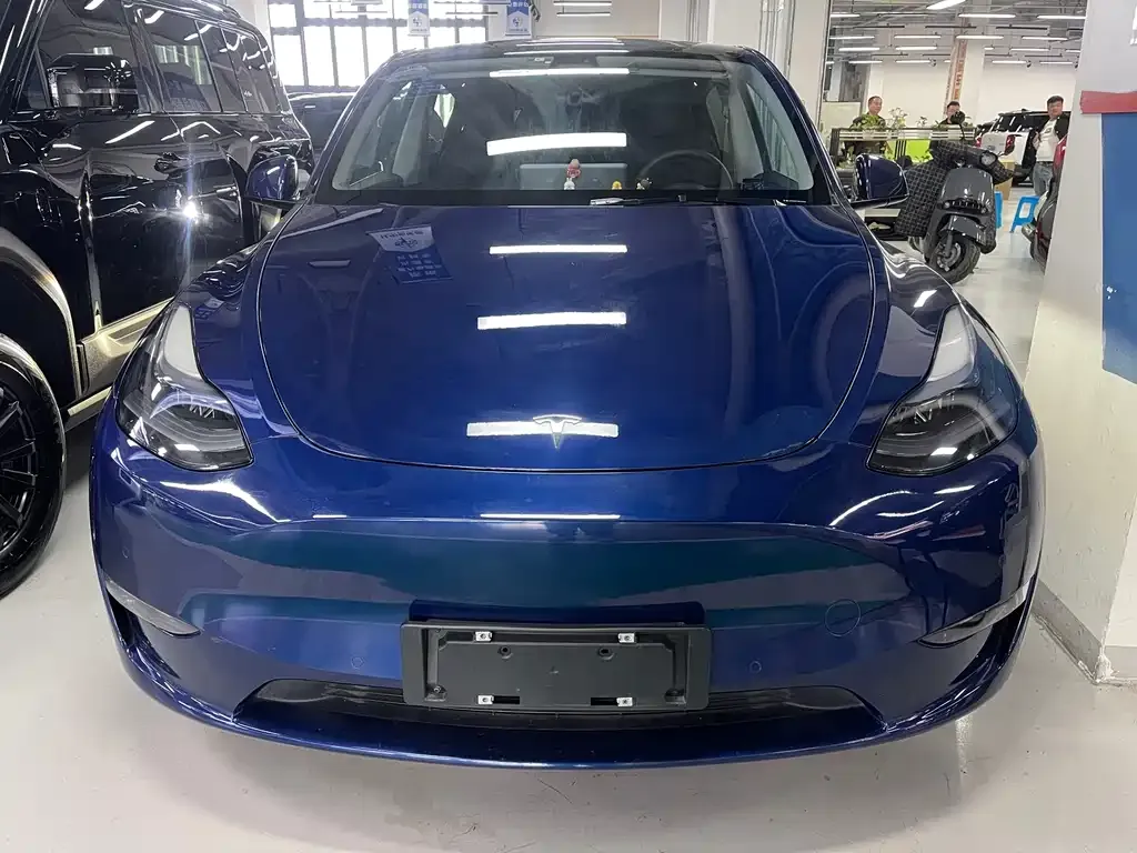 Tesla Model Y 2021 из CN, фото 10