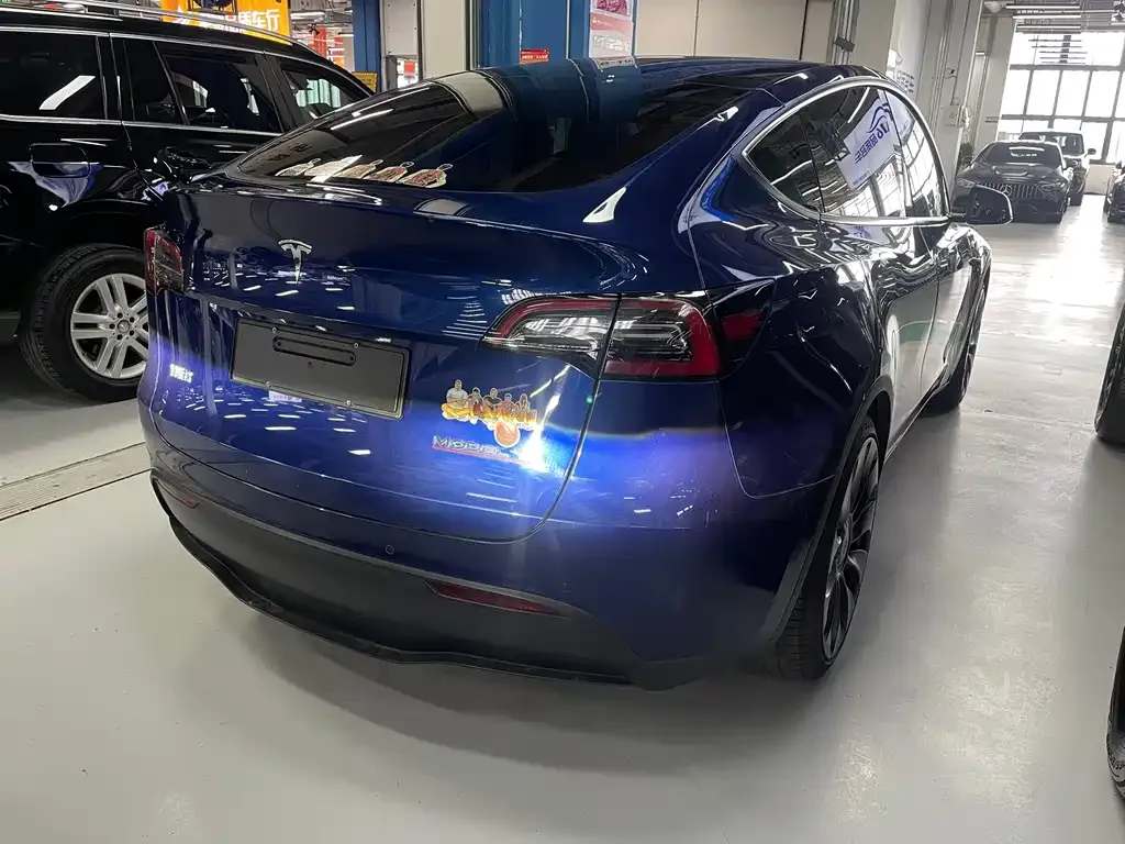 Tesla Model Y 2021 из CN, фото 7