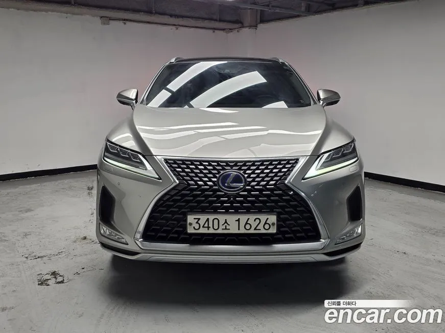 Lexus RX 2021 из KR, фото 4