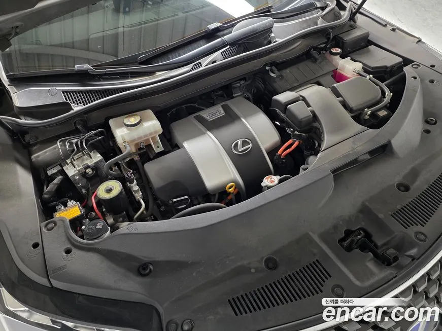 Lexus RX 2021 из KR, фото 8