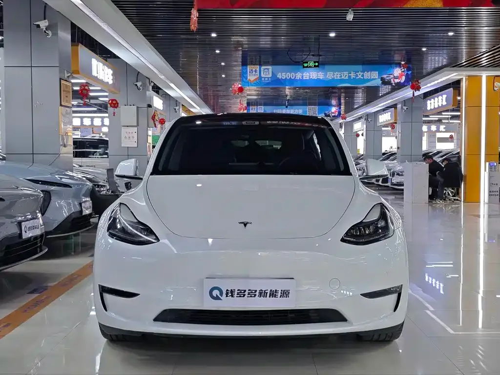 Tesla Model Y — фото 10