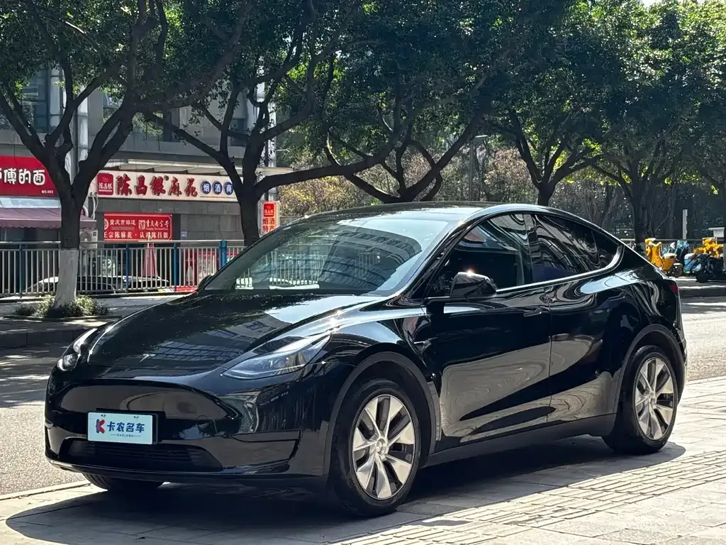 Tesla Model Y — фото 1