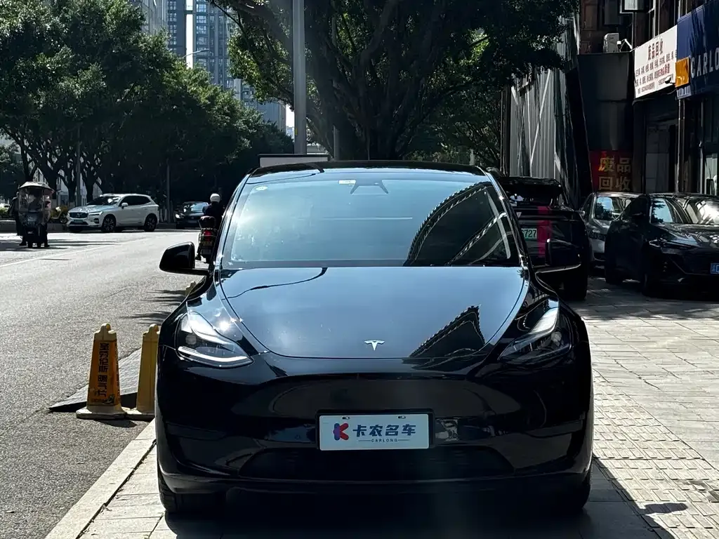 Tesla Model Y — фото 10
