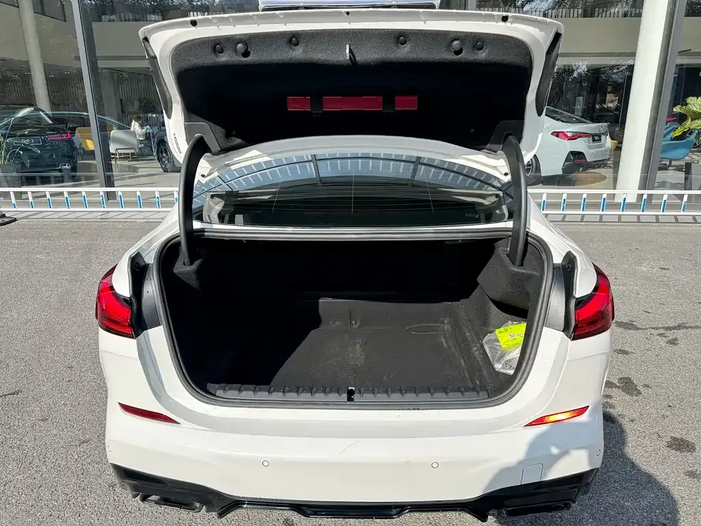 BMW 2 Series (Import) — фото 2