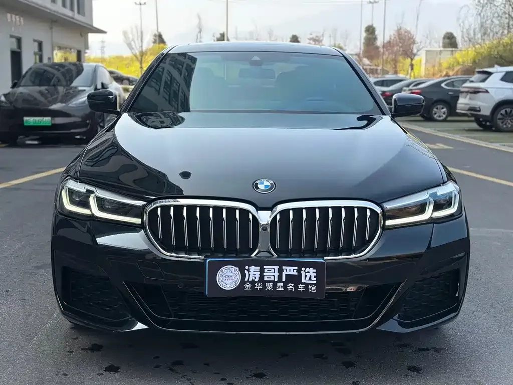 BMW 5 Series 2024 из CN, фото 9