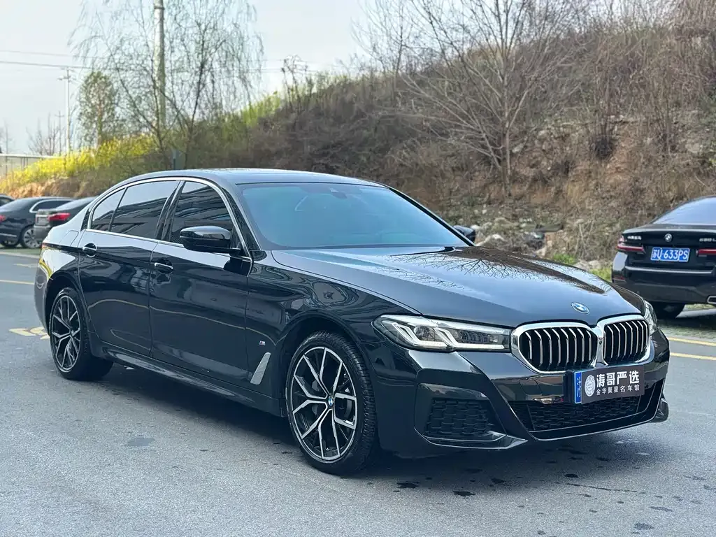 BMW 5 Series 2024 из CN, фото 3