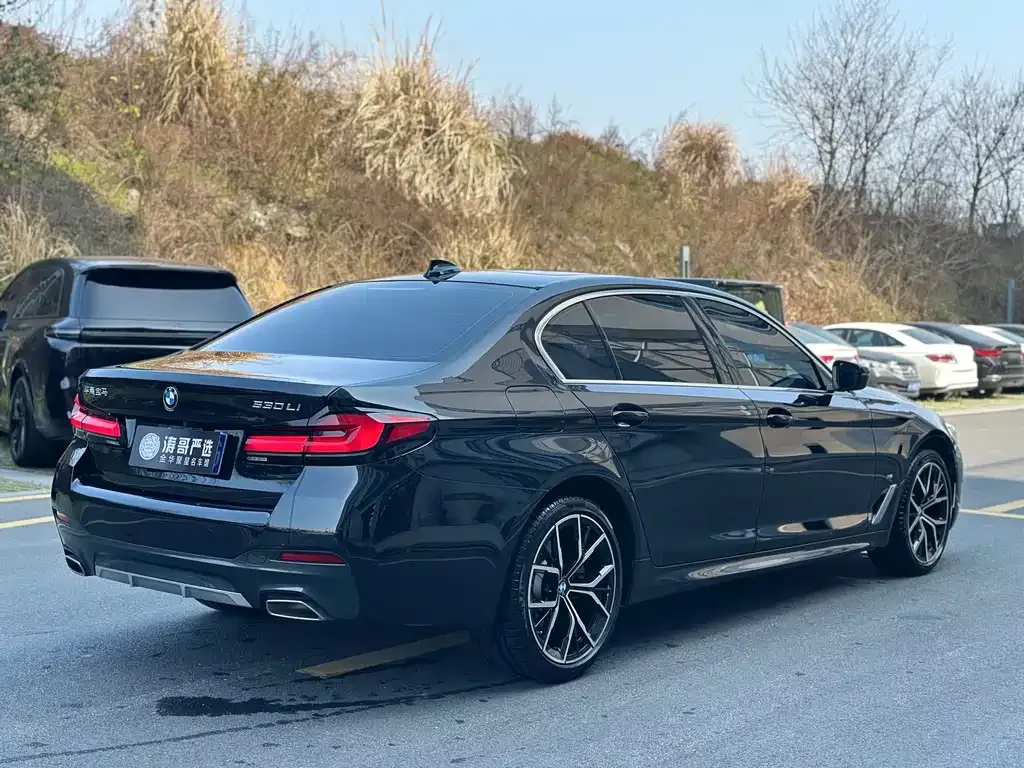 BMW 5 Series 2024 из CN, фото 5