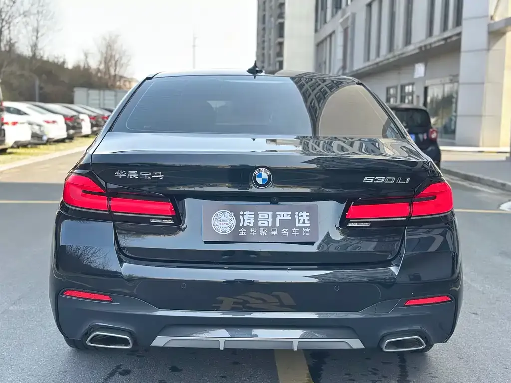 BMW 5 Series 2024 из CN, фото 7