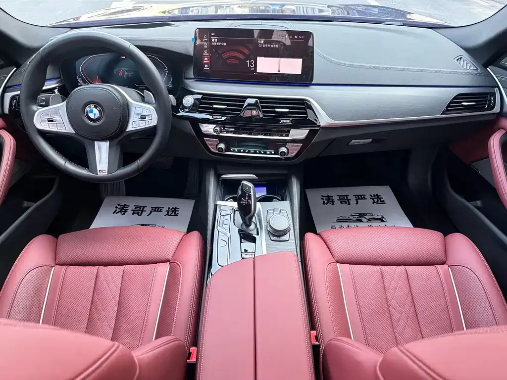 BMW 5 Series 2024 из CN, фото 8