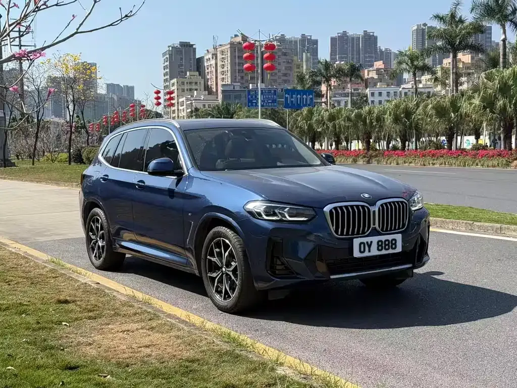 BMW X3 — фото 10