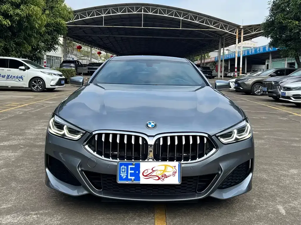 BMW 8 Series — фото 6