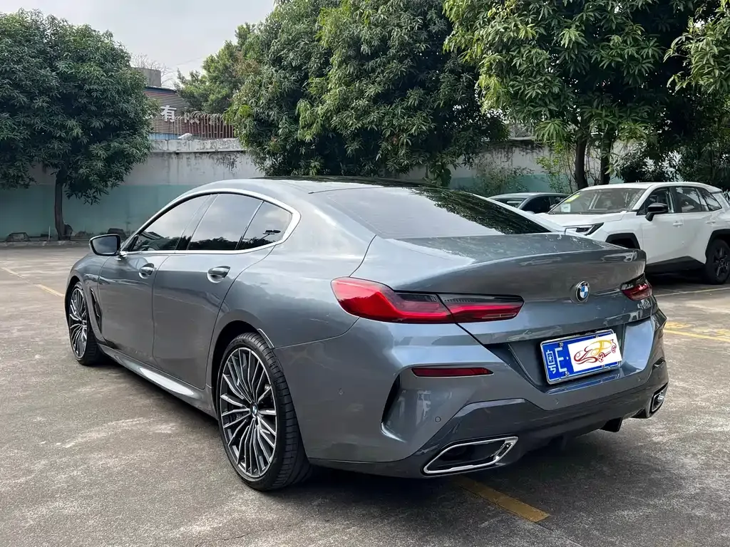 BMW 8 Series — фото 9