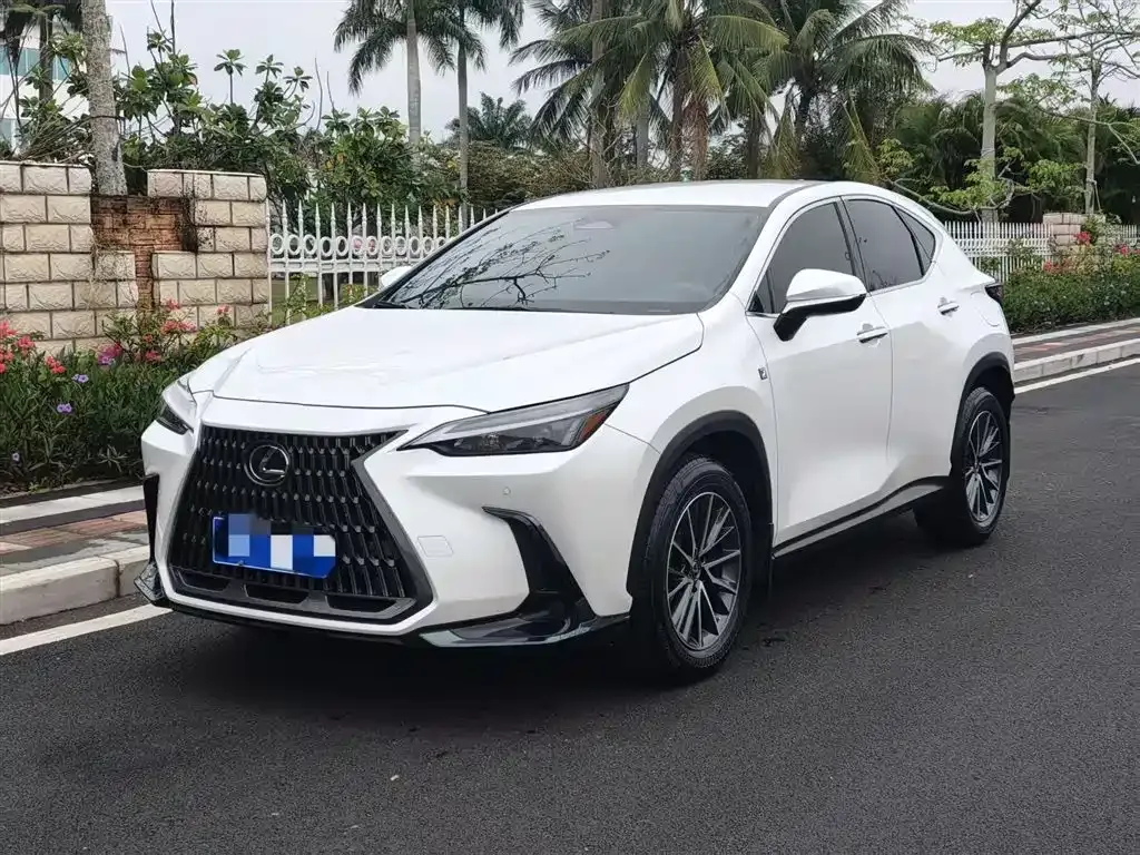 Lexus NX 2022 из CN, фото 1
