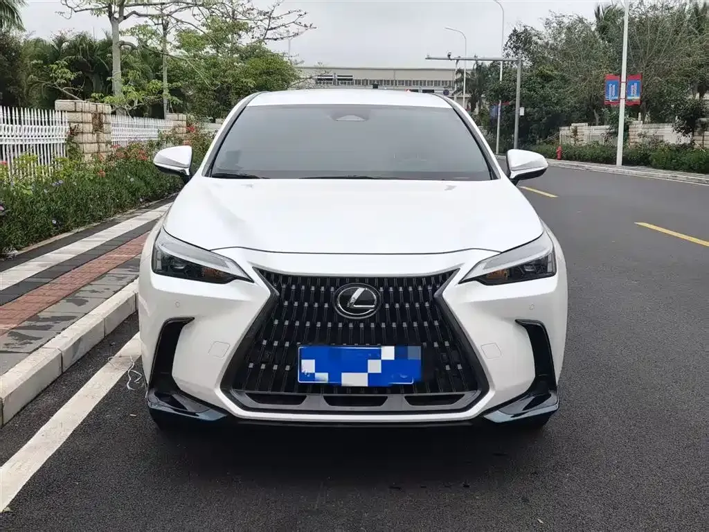 Lexus NX 2022 из CN, фото 4
