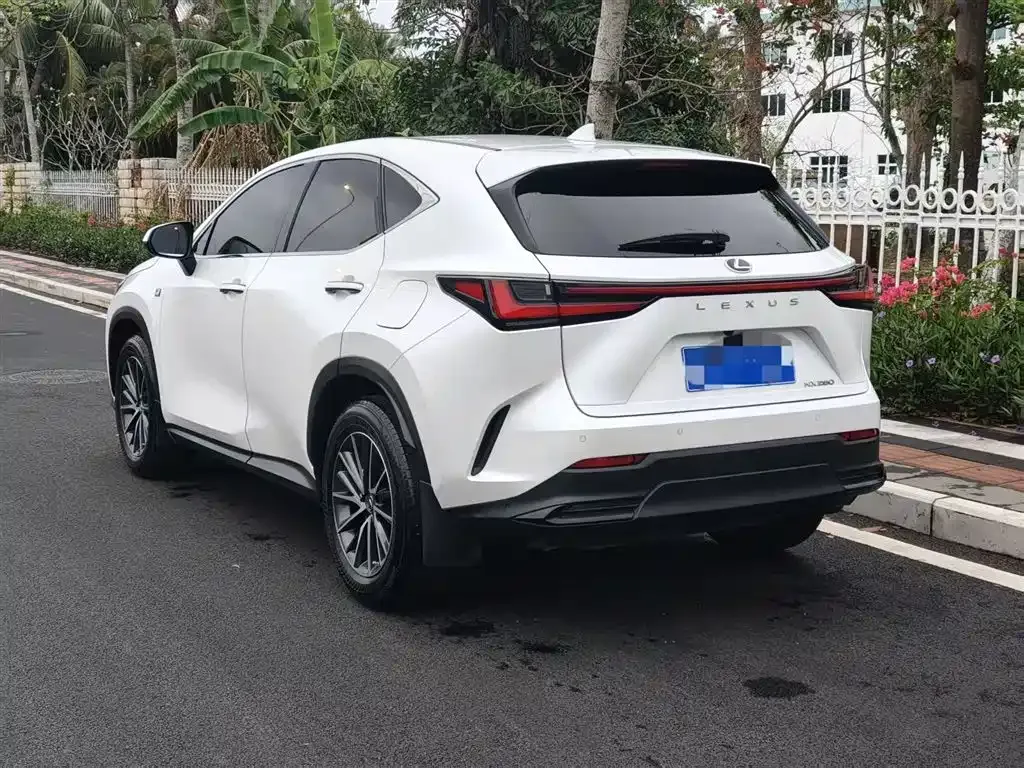 Lexus NX 2022 из CN, фото 7