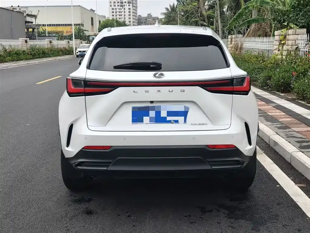 Lexus NX 2022 из CN, фото 8