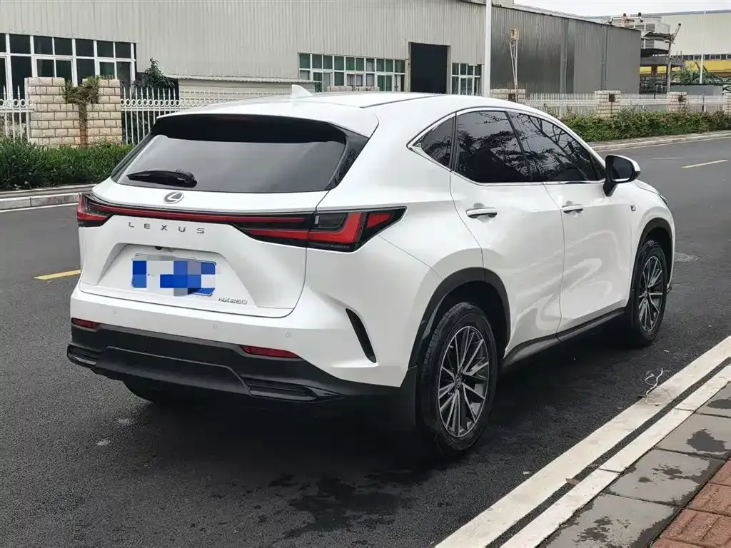 Lexus NX 2022 из CN, фото 6