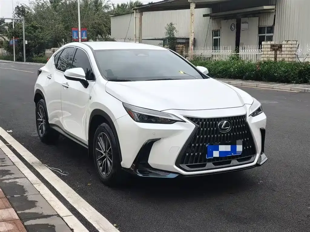 Lexus NX 2022 из CN, фото 9