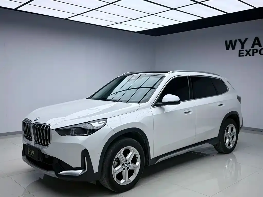 BMW X1 — фото 1