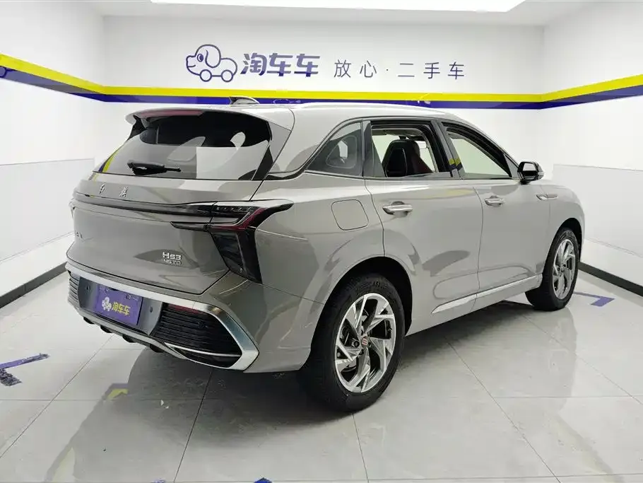 Hongqi HS3 2024 из CN, фото 5