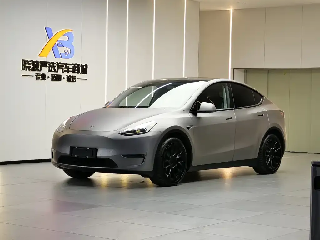Tesla Model Y 2021 из CN, фото 1